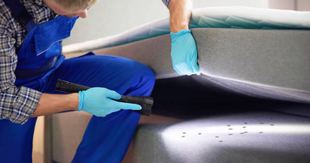 Best Affordable Pest Control Services  in Las Maravillas, NM