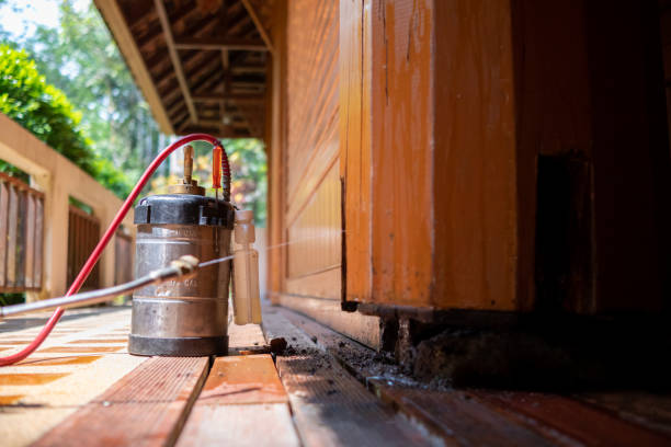 Professional Pest Control in Las Maravillas, NM