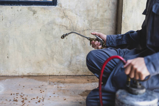 Best Commercial Pest Control Services  in Las Maravillas, NM